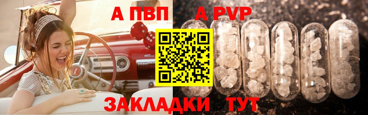 Alfa_PVP СК Аргун
