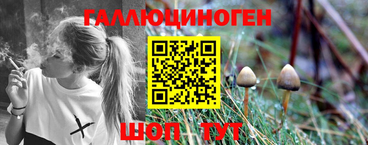 Псилоцибиновые грибы Magic Shrooms Аргун